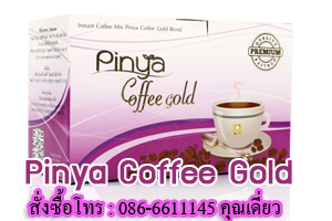 ภิญญ่า คอฟฟี่โกลด์ Pinya Coffee Gold ลดน้ำหนัก บำรุงร่างกาย มีใยอาหาร ต่อต้านอนุมูลอิสระ หุ่นดี มีออร่า 