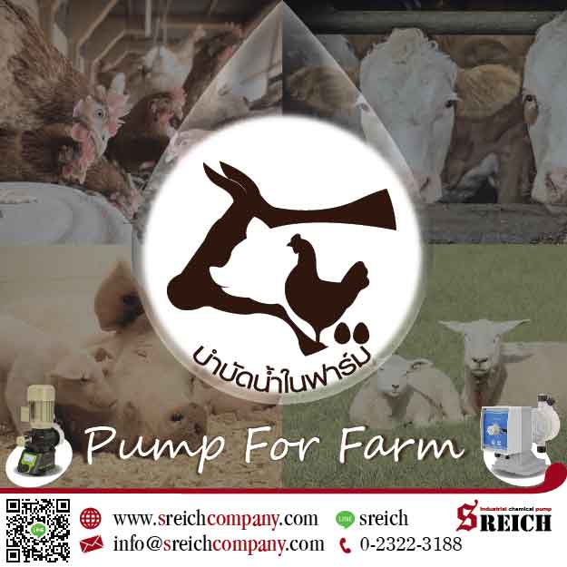 ปั๊มจ่ายสารละลาย คลอรีน วิตามิน จุลินทรีย์ สำหรับฟาร์มปศุสัตว์ Pump for Farm