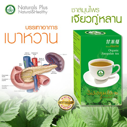  Jiaogulan herbal tea. Reduces blood pressure, blood sugar levels (certified).