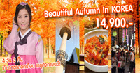  Korea Autumn in Korea foliage season 5 colors travel the full recipe. York. 57th now.