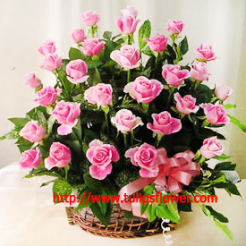 ราคา กระเช้า ดอกไม้  ร้านทิวลิปฟลาวเวอร์ รับจัดกระเช้าดอกไม้ (flower basket) ราคากันเอง สนใจติดต่อ (ดา) 087-512-2818 ได้ตลอด 24 ชั่วโมง