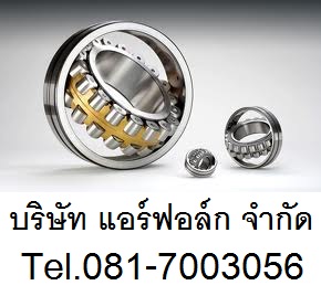 ขายแบริ่งพลาสติก แบริ่งสแตนเลส Bearing ราคาถูก พู่เล่ มู่เล่ย์ คับปลิ้ง 0817003056