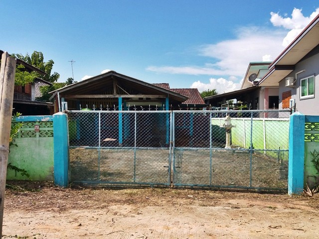 ขาย ที่ดินพร้อมสิ่งปลูกสร้าง บ้านพักอาศัยตึกชั้นเดียว ต.แม่สุก อ.แม่ใจ จ.พะเยา  PAP5-0536