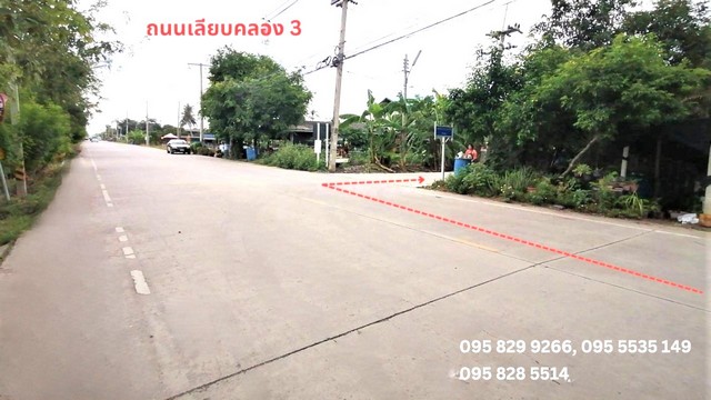 ขายถูกที่ดินถมแล้ว 2-0-2 ไร่ ติดถนนสาธารณะคอนกรีต เข้าซอย 500 ม. ใกล้วัดธรรมกาย คลองหลวง คลอง 3 น้ำไฟพร้อม ปทุมธานี