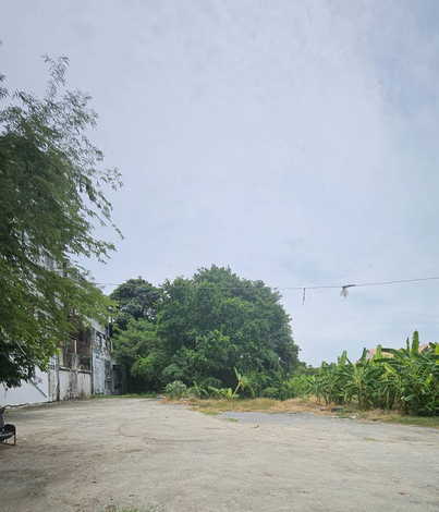 ขายที่ดินเปล่า ติดสถานีรถไฟฟ้าสายสีเหลือง บน ถนน.ศรีนครินทร์ 