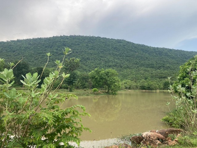 ต้นมกราเลือกเฟ้นหาทรัพย์ทรงมูลค่า ที่ดินสวยติดภูเขา เทือกเขายาวเรียงแนว ดินดีสมบูรณ์ทรัพย์ในดิน ฟ้าใสวิวหลักล้าน ต.นาจาน อ.สีชมพู จ.ขอนแก่น