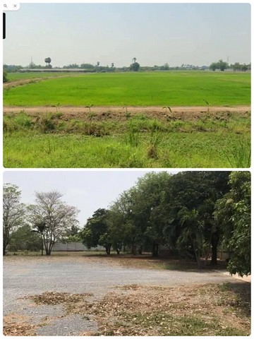 ขายที่ดินพร้อมบ้าน 2 หลัง อำเภอกำแพงแสน จังหวัดนครปฐม เนื้อที่ 42 ไร่