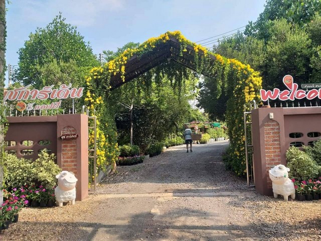 ขาย บ้านพร้อมที่ดินร้านต้นไม้สไตล์รีสอร์ทและคาเฟ่ร้านอาหาร 7-1-24ไร่ ต.นาโคก สมุทรสาคร   ZW503