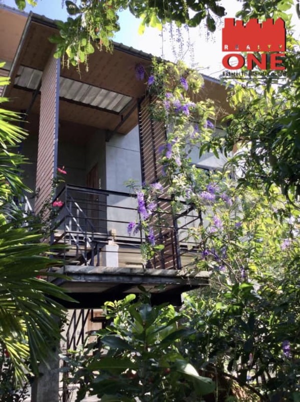 ขายบ้านพร้อมที่ดิน ตำบลหนองน้ำใส อำเภอสีคิ้ว จังหวัดนครราชสีมา ปลอดภัยจากปัญหาน้ำท่วม เพราะอยู่บนภูเขา! ตรงข้าม เขายายเที่ยง