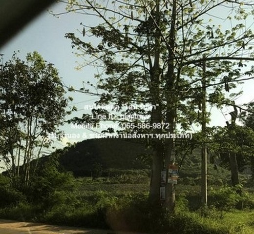 พื้นที่ดิน ขายที่ดินเปล่าปากน้ำปราณ (ห่างชายทะเลปากน้ำปราณ 3 กม.) 335.5 ตร.ว.  2000000 บาท   เล่นใหญ่ ประจวบคีรีขันธ์