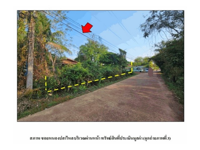 ขายบ้านเดี่ยวมือสอง อำเภอโพนพิสัย จังหวัดหนองคาย