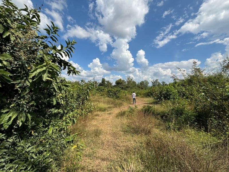 ขายที่ดิน 2ไร่ 1งาน 73ตร.ว. ต.ทุ่งฝาย อ.เมือง จ.ลำปาง