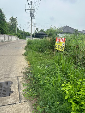 ขายที่ดินตำบลหนองไม้แดง จ.ชลบุรี เนื้อที่ 269.5 ตรว.  เทศบาลเก่าตำบลนาป่า   ZT447