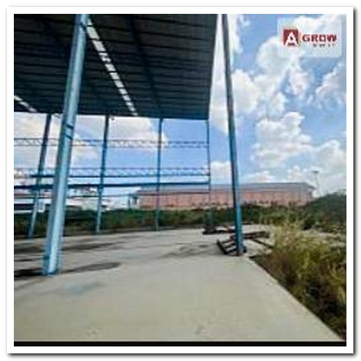 ให้เช่าโกดัง สร้างเป็นโรงงานหรือคลังสินค้าตามใบอนุญาต พื้นที่สีม่วง ปู่เจ้า สำโรง