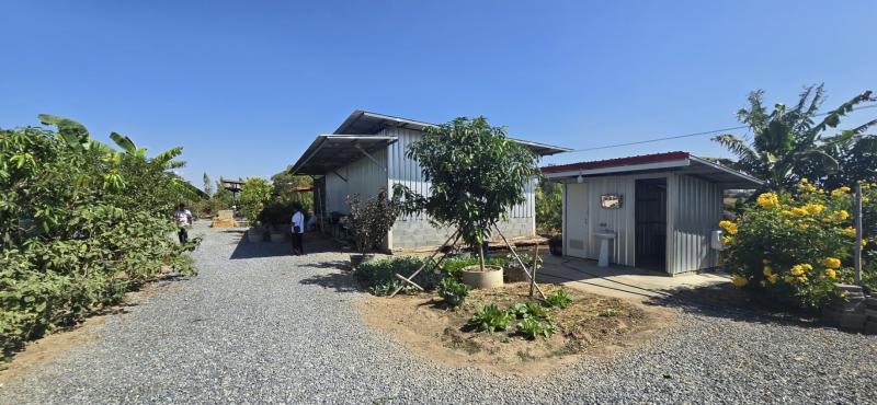 ขายด่วน! สวนโฮจิ 3 ไร่ พร้อมบ้าน 2 หลัง ติดถนนใหญ่ ขายด่วน! สวนโฮจิ 3 ไร่ พร้อมบ้าน 2 หลัง ติดถนนใหญ่