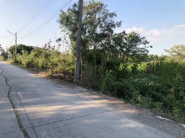 อสิงห์หา ขายทรัพย์ดีราคาคุยกันได้  ขายที่ดิน ต.บ่อเงิน อ.ลาดหลุมแก้ว  ปทุมธานีไร่ละ 800000 โทร 083-7124115