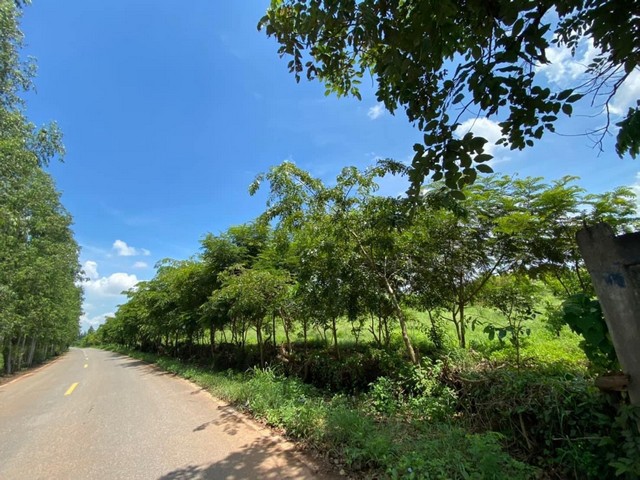 พื้นที่ดิน ที่ดิน ศรีมหาโพธิ ปราจีนบุรี 78440700 BAHT  พื้นที่เท่ากับ 94 ตาราง.วา 2 Ngan 130 RAI ใกล้ สวนอุตสาหกรรม 304 คุ้มค่า ปราจีนบุรี