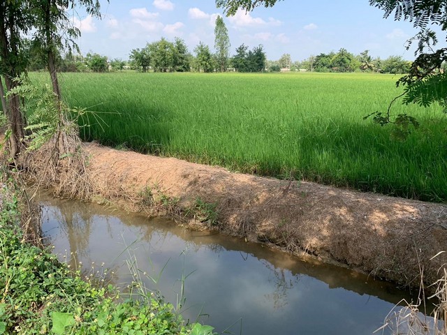 ขายที่ดินสวย  10ไร่ 2 งาน เเถมฟรีบ้าน 1หลัง อำเภอพนมทวน จังหวัดกาญจนบุรี