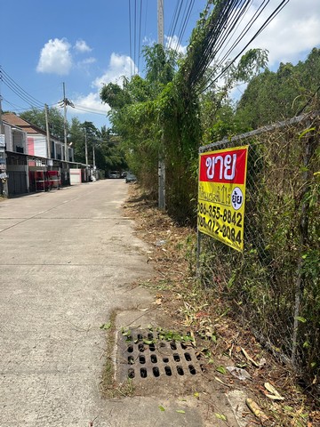 ขายที่ดิน  1  ไร่ ซอยชัยพรวิถี1/1  นาเกลือ  บางละมุง  ชลบุรี   ZT451