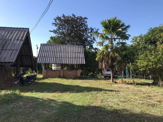 ขายที่ดินสวนลำไย 6ไร่1งาน 2.2ลบ. ถนนคอนกรีต น้ำไฟพร้อม บ้านห้วยกาน ต.บ้านโฮ่ง อ.บ้านโฮ่ง ลำพูน