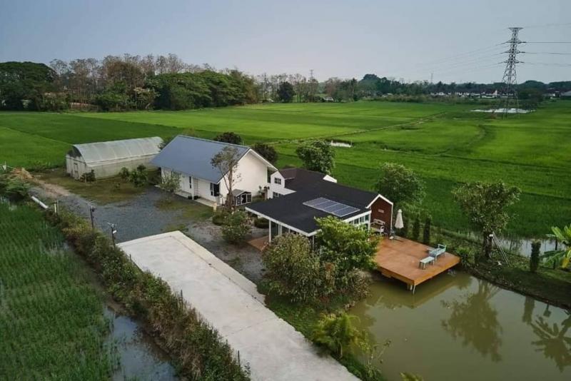 ขายพร้อมผู้เช่า 29.9 ล้าน เนื้อที่ 4 ไร่ 53 ตรว. #บ้านสวนสวย #แม่ริม #วิวดอยสุเทพ #ติดทุ่งนา #วิวสวยสุดในย่านนี้ 