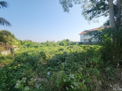 ที่ดินแปลงนี้ตอบโจทย์  ขายที่ดินเปล่า ตัวเมือง จ.เพชรบูรณ์ขนาด  2 ไร่ 3 งาน 55.3 ตร.ว. แปลงสวย ราคาคุ้มค่า ศักยภาพสูง