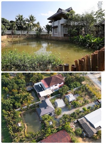 ขายบ้านพร้อมที่ดิน หมู่บ้านท่ามะโอ อำเภอสารภี จังหวัดเชียงใหม่