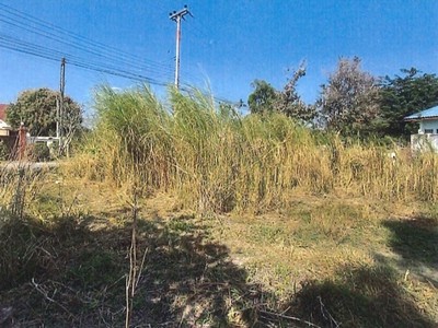 ขายที่ดินหัวหินซอยอำนวยผล ถนนเลี่ยงเมืองชะอำ-ปราณบุรี(ทล.37) ผังเมืองสีเขียว ราคานี้หาไม่ได้แล้ว เนื้อที่ 1-3-2 ไร่