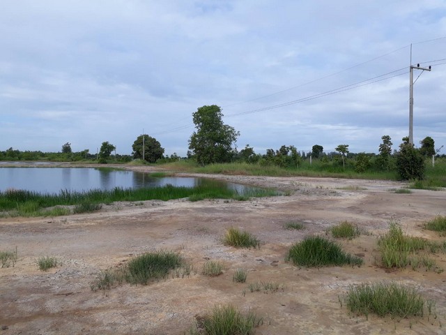 พื้นที่ดิน -  ขนาดเท่ากับ 2000 ตาราง-วา 750000 B. ไม่ไกลจาก ตลาดโชกุน โครตถูก