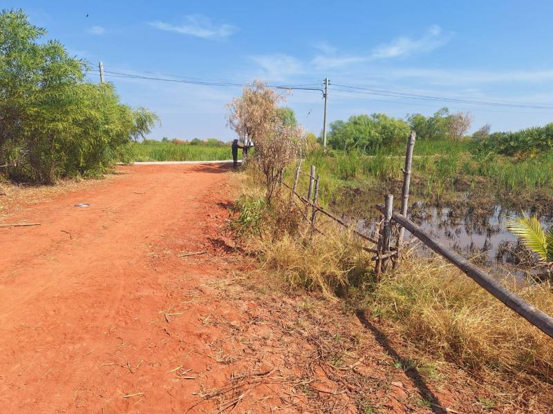 ขายที่ดินเปล่า 16 ไร่ ราคาพิเศษ ไร่ละแสน ต.กุดพิมาน ด่านขุนทด