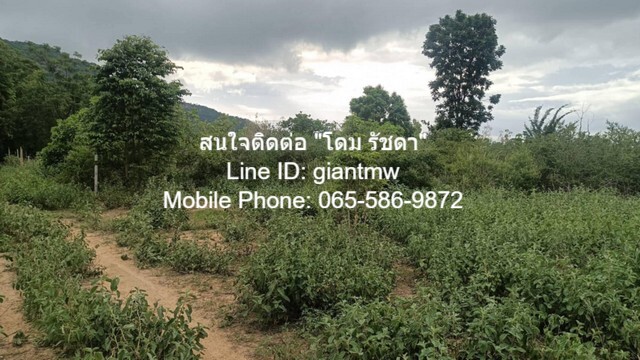 ID :  DSL-361 ขาย ที่ดิน ที่ดิน หัวหิน จ.ประจวบคีรีขันธ์  ขนาดพื้นที่ 0 ตาราง.วา 0 ngan 1 RAI 2500000 บาท.   เข้าออกได้หลายทาง