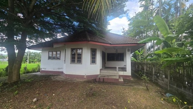 ขายตามสภาพ ที่ดินสวย วิวทุ่งนา มีรั้วล้อม แม่แฝกใหม่ สันทราย