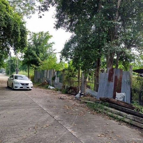 ที่ดินถมแล้ว พร้อมสร้างบ้าน ใกล้ม.แม่โจ้  สันทราย