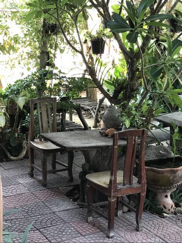 เน้นทรัพย์ดีราคาคุยกันได้  ทรัพย์สวยให้เช่าบ้านไม้ถ่ายหนังถ่ายละคร MV โฆษณา หนังสั้น คอนเท้นท์ บ้านสวยวิวทุ่งนา ไทรน้อย 0968821857