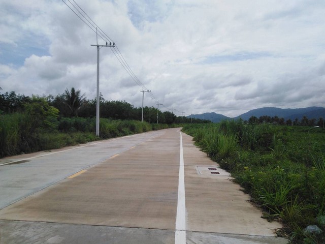 ขายที่ดินผังม่วงศรีราชาชลบุรี  พื้นที่สีม่วงลาย   บนเนื้อที่  108​ ไร่  ถนน รถเทเลอร์วิ่งเข้าออกสะดวก