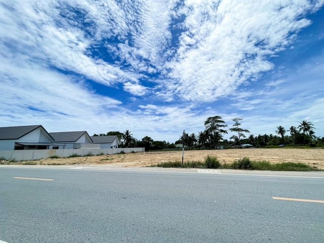 ขายที่ดินเปล่า สภาพแวดล้อมดี ตะเคียนเตี้ย บางละมุง ชลบุรี FP-L0150