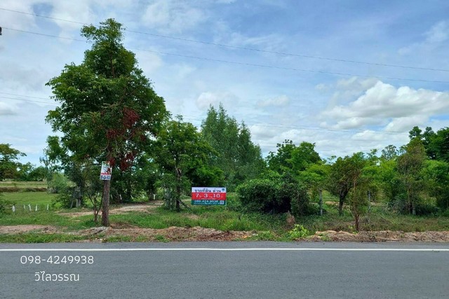 ขายที่ดินสวย ติดถนน  7 ไร่ 3 งาน 10 ตารางวา ต.หนองราชวัตร อ.หนองหญ้าไซ จ.สุพรรณบุรี  ใกล้ดอนเจดีย์