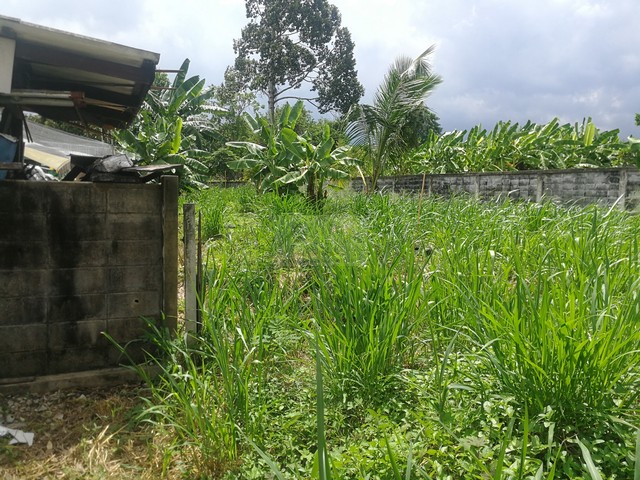 ขายที่ดินพร้อมบ้านเดี่ยว 2 ชั้นหลังมุม 80 ตรว. หมู่บ้านเสนานิเวศน์ ถนนเสนานิคม1 ***ต่ำกว่าราคาประเมิน 