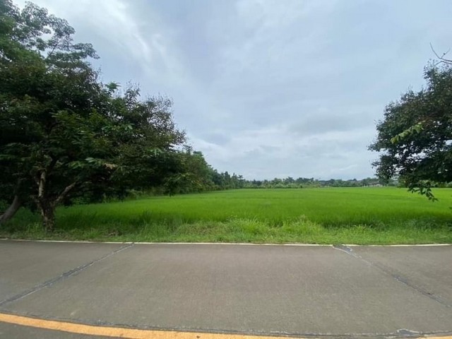 ที่ดินเปล่า ติดถนนสาธารณะ วิวสวยงาม ห้วยทราย แม่ริม