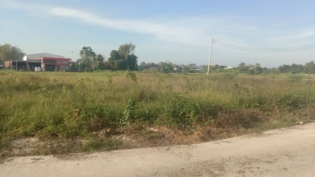 ที่ดินเปล่าขายยกแปลง ใกล้ตลาดท่ารั้ว ดอยสะเก็ด