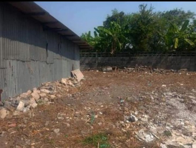 ขายด่วน!! ที่ดิน  93 ตารางวา+โกดัง ทำเลดี สุขุมวิท 77 ซอยอ่อนนุช80