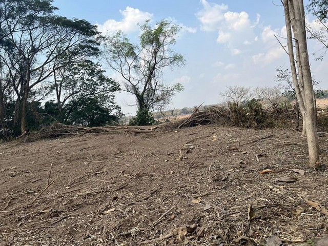 ขายที่ดินแปลงสวยริมโขง 3-3-93 ไร่ อ.เขมราฐ จ.อุบลราชธานี ใกล้สะพานไทยลาวแห่งที่6 ใกล้ อำเภอเมือง10โล