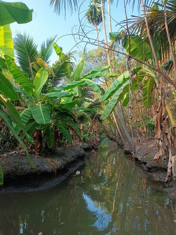 บ้าน ที่ดิน ต.หอมเกร็ด อ.สามพราน จ.นครปฐม 27568750 BAHT 3 Bedroom 3 น้ำ 2005 Square Wah ใกล้ ห่างทางหลวงหมายเลข 3415 (พุทธมณฑล สาย 7 ประมาณ 1.2 กม.) และวัดหอมเกร็ด (หลวงพ่อเพ้ง) 700 ม. ดีงาม ทำเลดี ร่มรื่น และอยู่ท่ามกลางธรรมชาติ ซึ่งเหมาะสำหรับนำไปพ