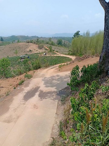 พื้นที่ดิน ที่ดิน ต.ปอน อ.ทุ่งช้าง จ.น่าน 163303 ตาราง-วา  73400000 B. ไม่ไกลจาก ห่างด่านตรวจคนเข้าเมืองไทยลาวประมาณ 25 กิโลเมตร สวยมาก