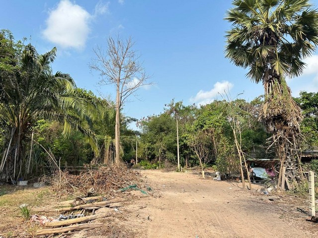 ขายที่ดินเนื้อที่ 6ไร่ 3งาน ติดถนน 4ด้าน ใกล้สนามกอล์ฟฟินิกซ์พัทยา น้ำไม่ท่วม น้ำ-ไฟฟ้าเข้าถึง เหมาะทำหมู่บ้าน คาเฟ่ บางละมุง ชลบุรี