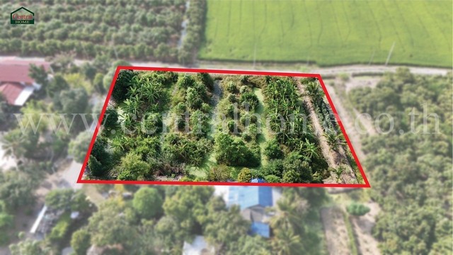 P2 ที่ดินสวนมะม่วง โพธิ์พระยา เมืองสุพรรณบุรี ใกล้ตัวเมือง ราคาถูกมาก