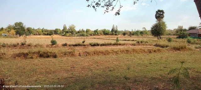 ขายที่ดินที่นา 10-1-28ไร่ 14.5ลบ. ฟรีโอน สาธารณูปโภค ทำเลบ้านจัดสรร ธุรกิจ เยื้องวัดโพธิ์ชัยบ้านหว้า ต.บ้านหว้า อ.เมือง ขอนแก่น