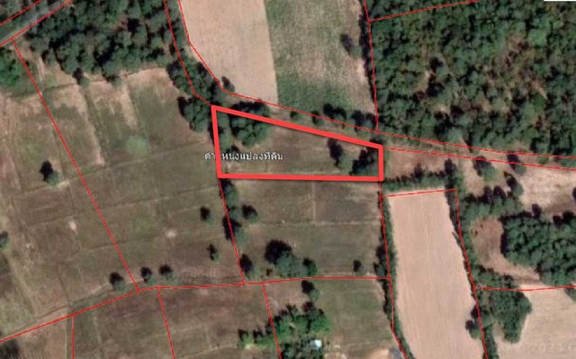 ขายที่ดินเปล่า 1-2-95.30 ไร่  ตำบลดอนยาวใหญ่  อำเภอโนนแดง  จังหวัดนครราชสีมา