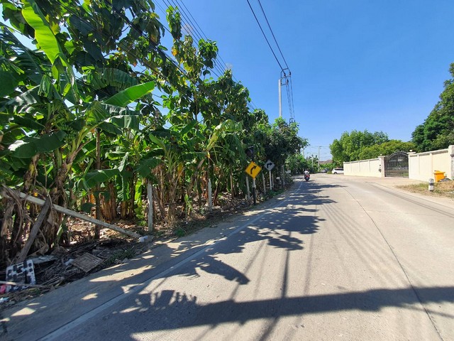 2236 SALE ที่ดิน ที่ดิน ตำบลท่าอิฐ อำเภอปากเกร็ด จังหวัดนนทบุรี หรูอยู่สบาย