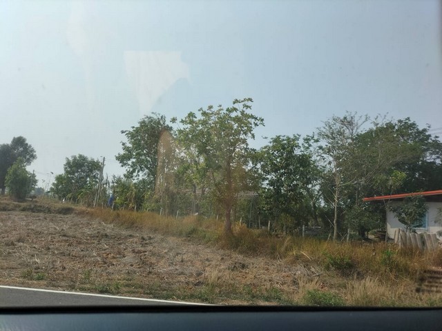 ขายที่ดิน 11 ไร่ 2 งาน 51 ตารางวา อยู่ระหว่างถนนเมืองหงส์ โคกล่าม ตำบล เมืองหงส์ อำเภอ จตุรพักตรพิมาน ร้อยเอ็ด